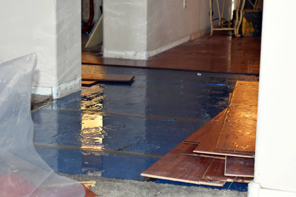 Professional Water Damage Restoration technician working in Lake Ann, MI
